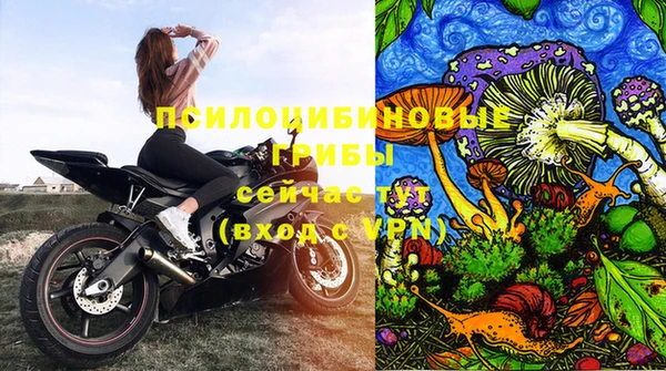 соль ск Бугульма