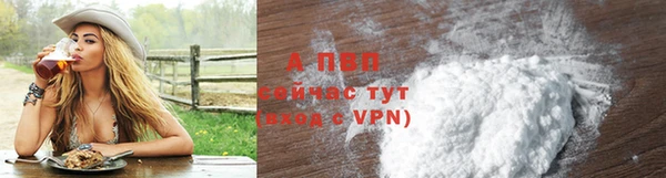 2c-b Бородино