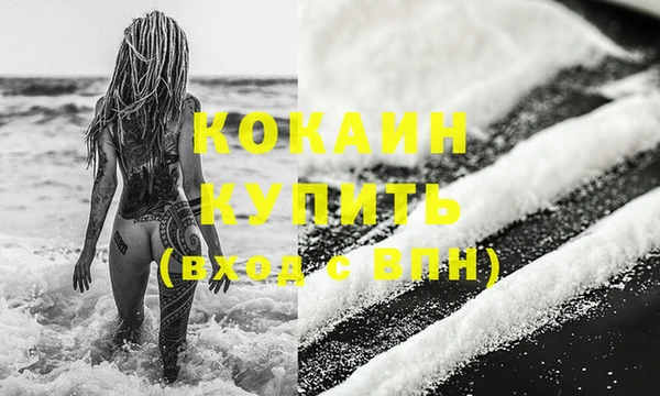 2c-b Бородино