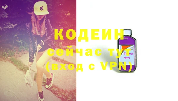2c-b Бородино