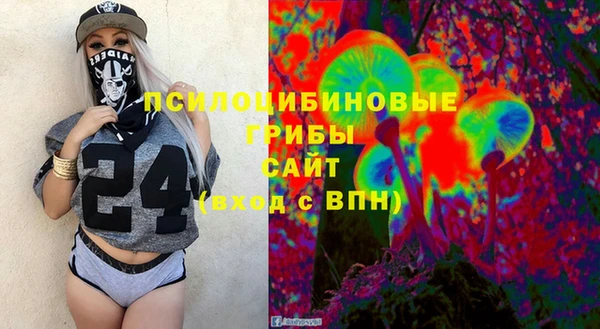 2c-b Бородино